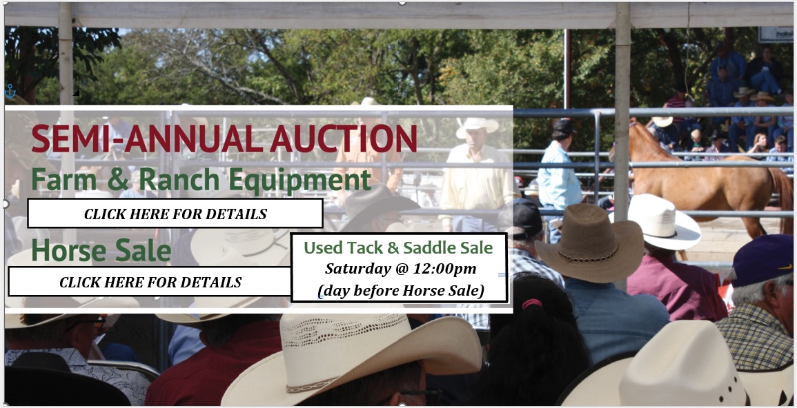 semi annual pic - updated 10 17 24